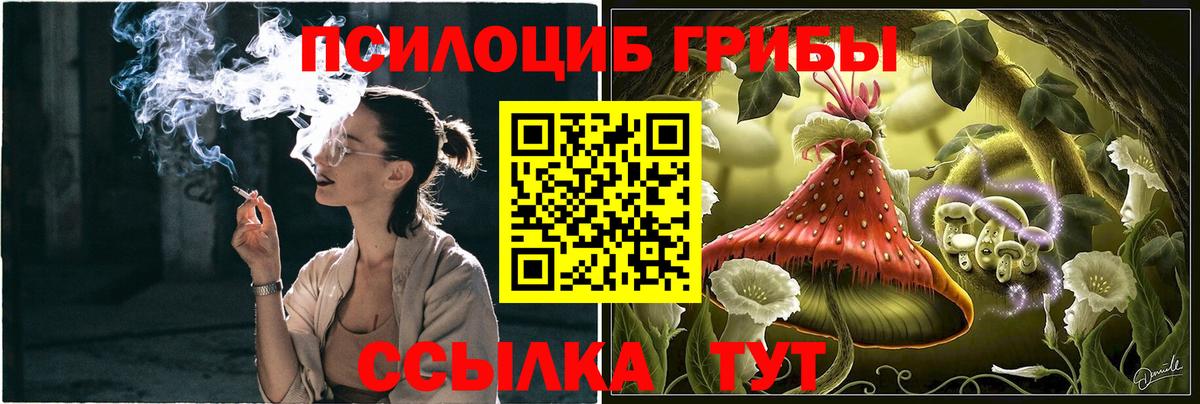 Галлюциногенные грибы Psilocybine cubensis  Вход с VPN  Сланцы 