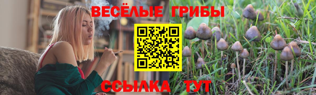Псилоцибиновые грибы ЛСД Сланцы
